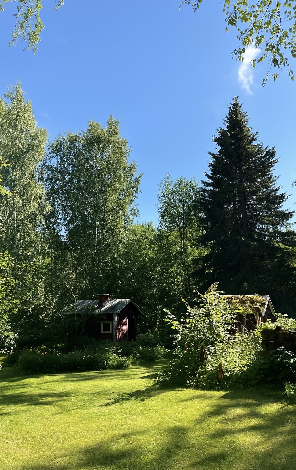 Siisti ja hyvin hoidettu piha-alue Suomessa